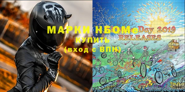 стаф Алзамай