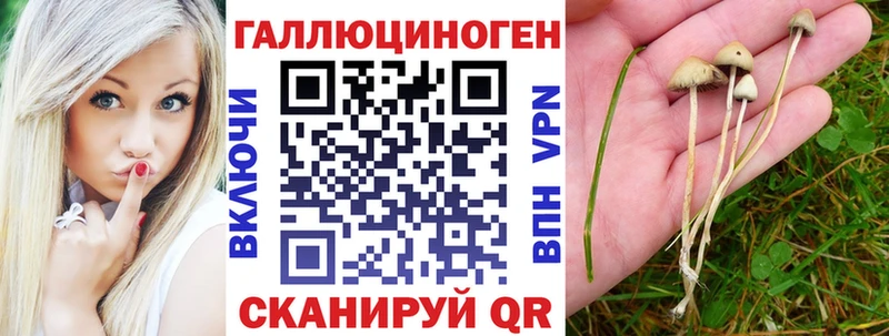 Псилоцибиновые грибы MAGIC MUSHROOMS  купить закладку  Спасск-Рязанский 